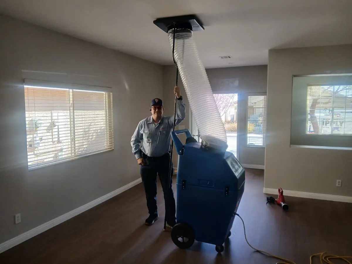 Professional Dryer Vent Cleaning work inside a Rockdale home